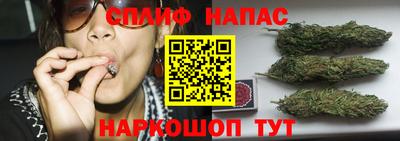 молекула духа Ачхой-Мартан