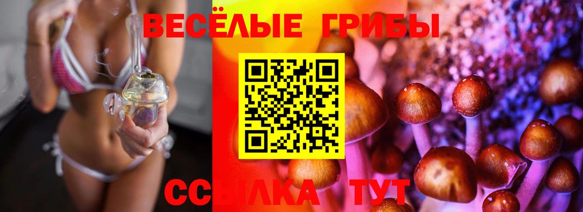 Псилоцибиновые грибы ЛСД  Вход с VPN  Белая Калитва 